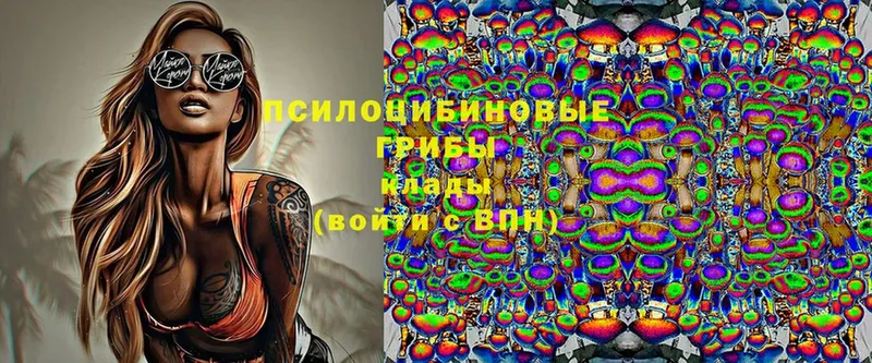 кракен ссылки  Володарск  Псилоцибиновые грибы Psilocybine cubensis  как найти  