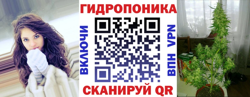 Шишки марихуана индика  Володарск 